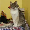 Отзыв от Кира Калашникова